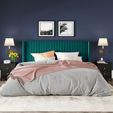 Allewie Queen Size Velvet Bed Frame/Vertical Channel Tufted Wingback Headboard/Upholstered Platform Bed/Strong Wooden Slats/No Box Spring Needed/Easy Assembly/Black
