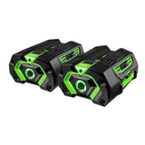 EGO POWER+ Blower 765 CFM Kit with 2 x 5Ah Batteries LB7654-2 from