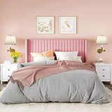 Allewie Queen Size Velvet Bed Frame/Vertical Channel Tufted Wingback Headboard/Upholstered Platform Bed/Strong Wooden Slats/No Box Spring Needed/Easy Assembly/Black