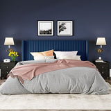 Allewie Queen Size Velvet Bed Frame/Vertical Channel Tufted Wingback Headboard/Upholstered Platform Bed/Strong Wooden Slats/No Box Spring Needed/Easy Assembly/Black