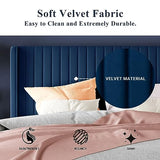 Allewie Queen Size Velvet Bed Frame/Vertical Channel Tufted Wingback Headboard/Upholstered Platform Bed/Strong Wooden Slats/No Box Spring Needed/Easy Assembly/Black