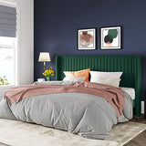 Allewie Queen Size Velvet Bed Frame/Vertical Channel Tufted Wingback Headboard/Upholstered Platform Bed/Strong Wooden Slats/No Box Spring Needed/Easy Assembly/Black