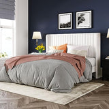 Allewie Queen Size Velvet Bed Frame/Vertical Channel Tufted Wingback Headboard/Upholstered Platform Bed/Strong Wooden Slats/No Box Spring Needed/Easy Assembly/Black