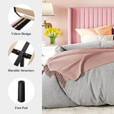 Allewie Queen Size Velvet Bed Frame/Vertical Channel Tufted Wingback Headboard/Upholstered Platform Bed/Strong Wooden Slats/No Box Spring Needed/Easy Assembly/Black
